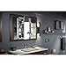 Kohler 99011-NA Verdera 40