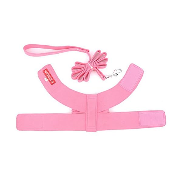 Zunea Set di imbracatura e guinzaglio per gatto/cane piccola taglia scamosciato pettorina morbido con fiocco e strass…