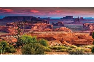 GOTLOS Desert Rock Cactus Oasis Reptile Habitat Background, Natural Sunset Desert Themed Terrarium Background, Aquarium Background 48X24IN with 10 EVA Double-Sided Tape