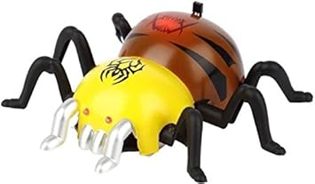 wall climbing spider