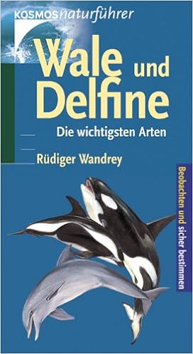 Wale Und Delfine Die Wichtigsten Arten Amazon De Wandrey Rudiger Bucher