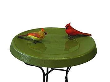 Birds Choice Pedestal Heated Bird Bath Amazon Co Uk Garden