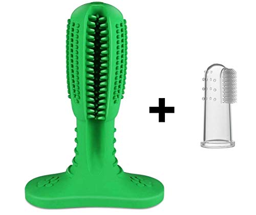 brite brite brushing stick