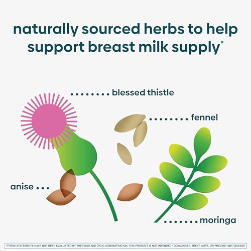 UPSPRING MILKFLOW FENUGREEK-FREE BLACKBERRY LIME DRINK MIX | BREASTFEEDING SUPPLEMENT FOR LACTATION SUPPORT | MORINGA, BLESSED THISTLE, FENNEL, ANISE PROMOTE HEALTHY BREASTMILK SUPPLY | 16 CT