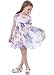 Bonny Billy Girls Short Sleeve Pleated Chiffon Floral Dress