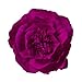 Ling's moment Crepe Paper Flowers, 6 X Rose Handcrafted Flowers(8''-6'' Assorted), Paper Flower Decorations for Nursery Wall Display Wedding Anniversary Baby Shower