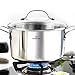 HOMI CHEF Mirror Polished NICKEL FREE Stainless Steel 4.5 Quart Stock Pot with Glass Lid (No Toxic Non Stick Coating, 9.5 Inch)