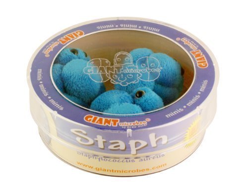 Giant Microbes Minis Staphylococcus Plush Soft Toy Set of 3 In Petri