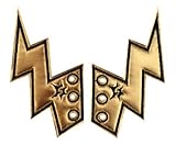Gold Lightning Bolt Shoe Shwings