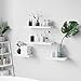 WELLAND Set of 2 Floating Shelves Wall Mounted Shelf, for Home Decor with 8