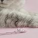Meow Star Sterling Silver Cat Necklace for Women Cat Pendant Charm Cat Moon Necklaces for Women Gifts for Cat Lovers Cat Jewelry for Women (Moon_Polish_Silver) (Cat_Polish_Silver)