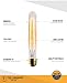 Edison light bulb – 6 Pack – The Longhorn - 40 Watt Bulb - Choose from many other designs. Inspired by Thomas Edison these incandescent filament style bulbs provide retro vintage light ambiance