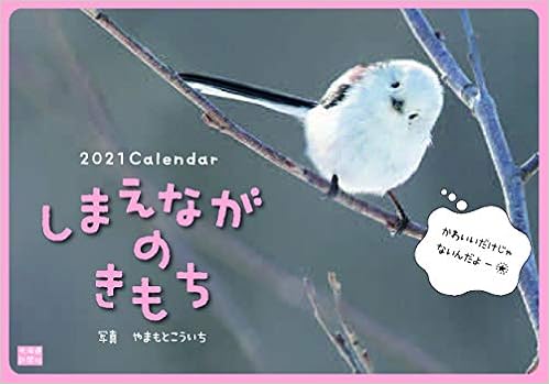 50 Off シマエナガ アートフレーム カレンダー 置小物 当店限定