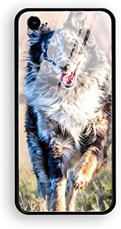 Border Collie Dog iPhone 7 iPhone 8 Case Luxury Tempered Glass Back Cover with Soft TPU Bumper Frame Shock Absorption 360 Degree Full Protection