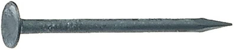 Amazon.com: Grip Rite 138PCDW1 1 lb Coated Cupped Head Smooth Shank ...