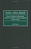 Exiles, Allies, Rebels No. 16 : Brazil's Indianist Movement, Indigenist Politics and the Imperial Nation-State, Treece, David, 0313311250