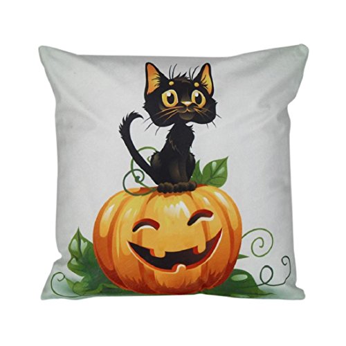 Halloween pumpkin cat pillow cover