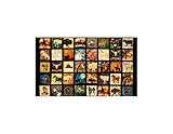 Unbridled Western Patches 24in Panel Black Fabric