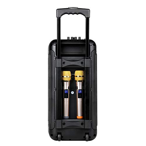 Shinco Karaoke Speaker with Party Lights - Dual 8 Inch Subwoofer Portable Karaoke Machine