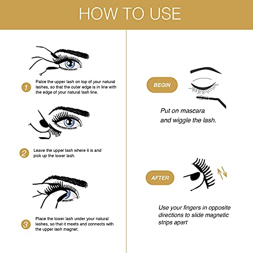 Breavo Dual Magnetic Eyelashes, Natural Half Lash, Accent Lashes, Light Weight & Reusable, Updated 3D False Eyelashes with Applicator(8pcs)