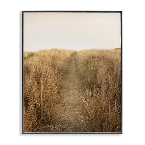 Stupell Industries 'Summer Sand Dune Pathway Sun Bleached Grassy Landscape', Fr…