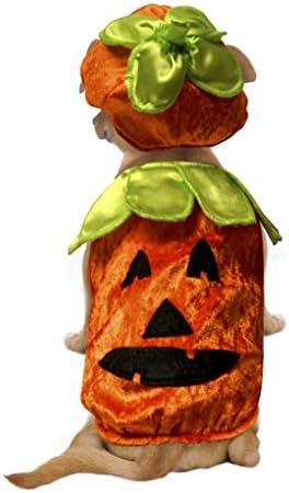 STELLAR PET BOUTIQUE COLLECTIO PUMPKIN CUTIE DOG COSTUME