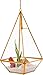 Mindful Design Glass Terrarium - Geometric Large Diamond Desktop Garden Planter (Gold)