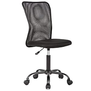 Office Chair Cheap Desk Chair Mesh Computer Chair with Lumbar Support No Arms Swivel Rolling Executive Chair for Back…