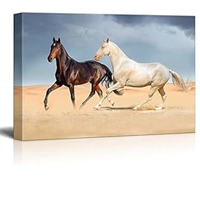 A White Horse and a Black Horse Running...