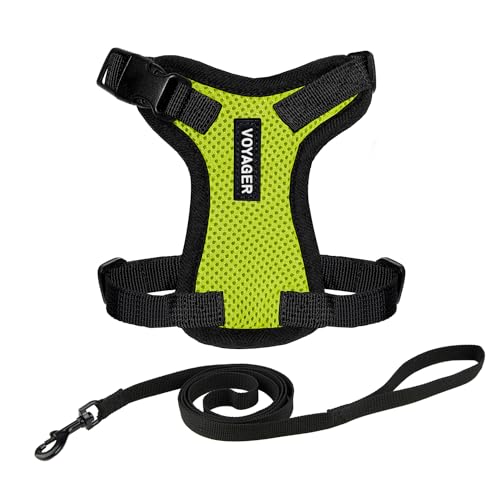Voyager Escape-Proof Step-in Lock Cat Harness & 5ft Neoprene-Handle Leash Set A…