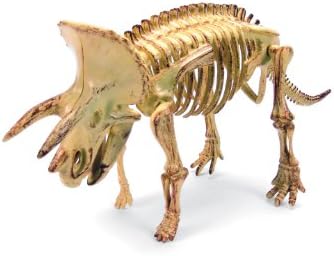 World Animals 16" Giant Triceratops Skeleton Set