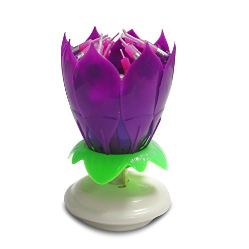 Easy Gift The Amazing Happy Birthday Candle Romantic Musical Flower Party Light Intelligent Decorative Cake Candles With 14 Candles (Purple)