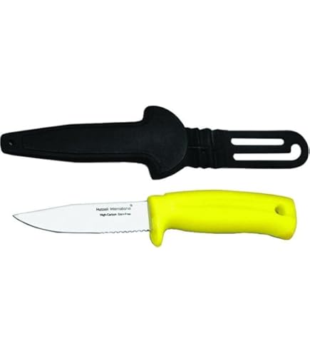 Amazon.com: Dexter-Russell S151-SC-GWEW/SHEATH, White/Silver/Black