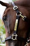 Tack Shack Of Ocala Leather Halter with Customized Engraved Name Plate