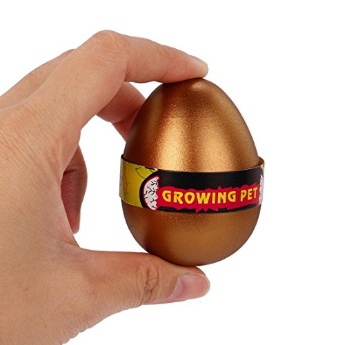 Inverlee Magic Novelty Hatching Dinosaur Egg Add Water Growing Dino Eggs Inflatable Kids Magic Fun Toy (D) - Thumbnail 4