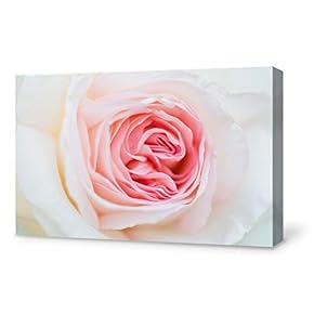 Canvas Wall Art for Living Room,Bedroom Home Artwork Paintings Close-up of Flower Ready to Hang - 12x18 inches