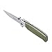 Ganzo G7522 Folding Bowie Hunting Pocket EDC Handle Knife (Green)