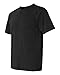 Comfort Colors By Chouinard Adult Ring-Spun Tee (Black) (2X)