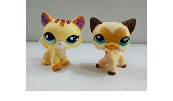 lps heart cat