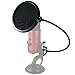 HDE 6 Inch Pop Filter Shield Studio Microphone Wind Screen with Stand Clip for Blue Yeti Microphones and USB Condenser Mics (Black)