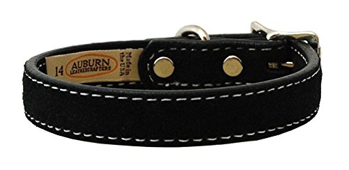 Saratoga Suede Dog Collar 1x18 Black