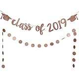 Rose Gold Glittery Class Of 2019 Graduation Cap Banner and Rose Gold Circle Dots Garland,Graduation or Grad Party Decoration Supplies