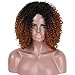 ELIM Ombre Brown Wigs for Black Women Short Afro Wig Kinky Curly Wig Realistic Looking Heat Resistant Full Wigs Z114