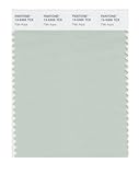 PANTONE SMART 13-5305X Color Swatch Card, Pale Aqua