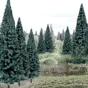 Ready Made Trees Value Pack 4" - 6" Blue Spruce (13)