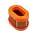 Briggs & Stratton 790166 Oval Air Filter Cartridge
