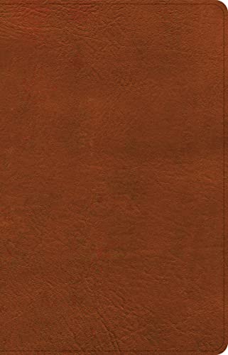 NASB Large Print Thinline Bible, Burnt Sienna LeatherTouch, Black Letter, Prese…