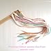 Ribbon for Crafts - Hipgirl 50 Yard 1/4