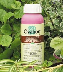 Ovation SC 01-1296 Ovation Sc44; 16 Oz.