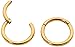 365 SLEEPERS 2PCS 18G Surgical Steel 6mm - 10mm Hinged Hoop Segment Nose Septum Tragus Helix Lip Ring Sleeper Earrings (6mm)